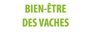 Bien-etre des vaches
