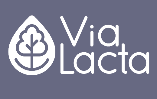 logo via lacta